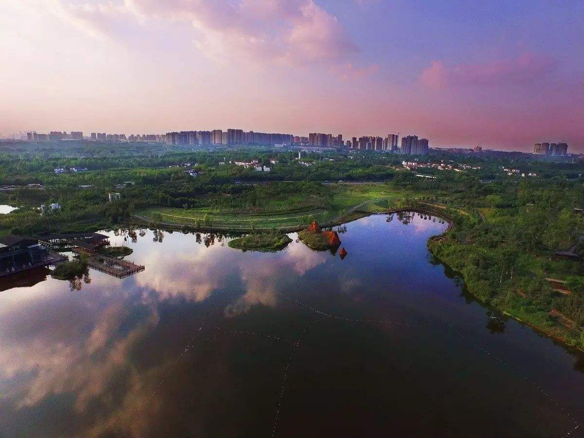 白鷺灣濕地公園